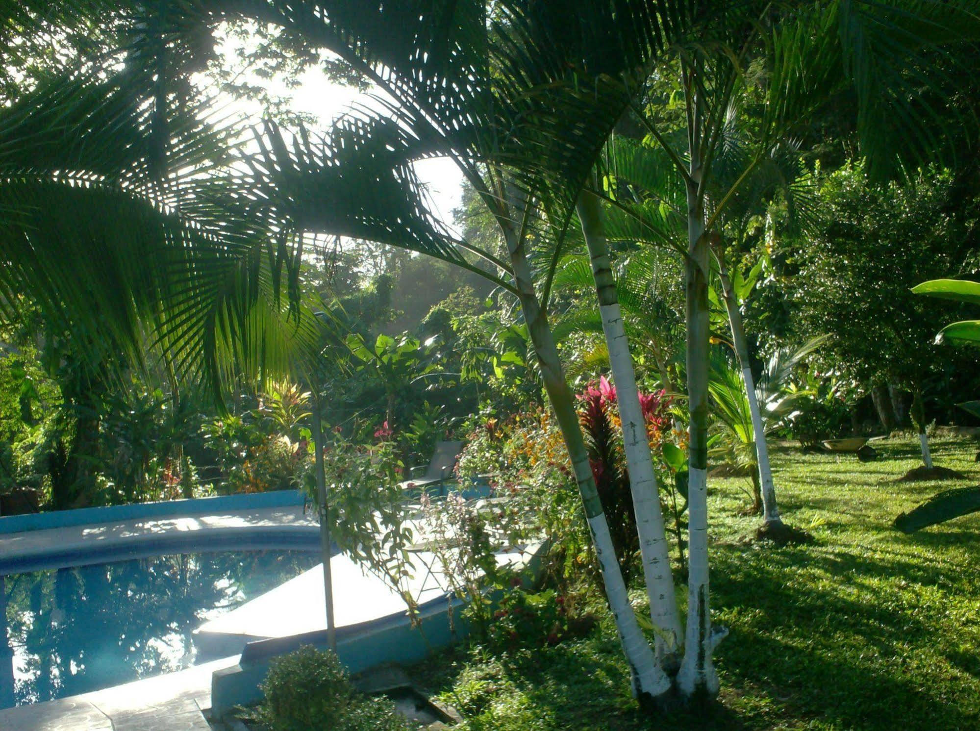 Hotel Lavas Del Arenal La Fortuna Exterior photo
