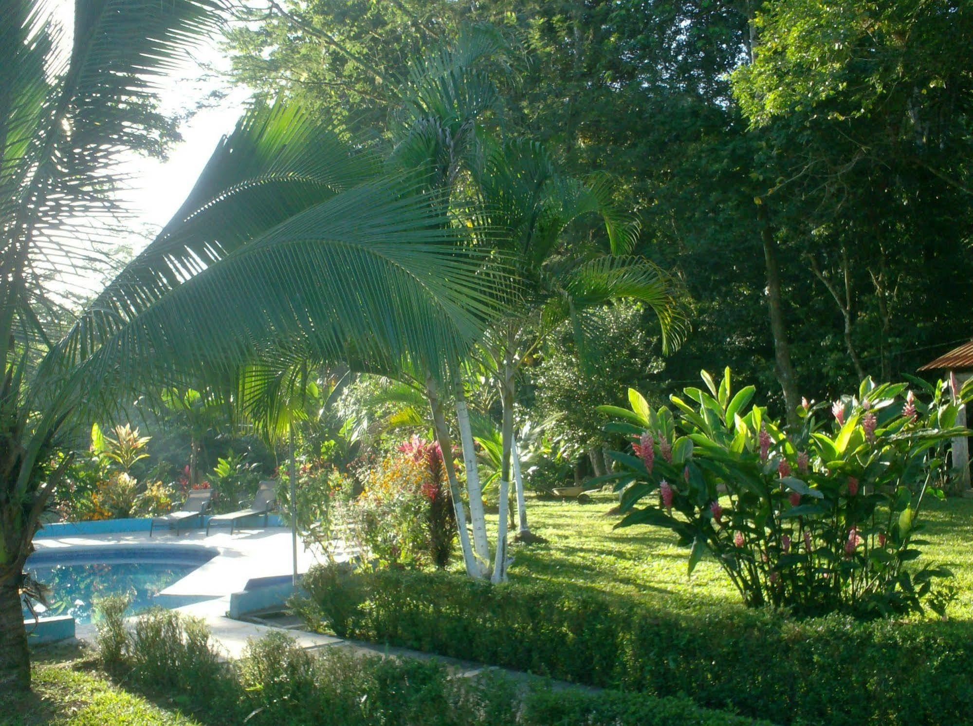 Hotel Lavas Del Arenal La Fortuna Exterior photo